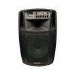 AUDIODESIGN-PRO M2 12 W/L BATTERY-OPERATED 12" HIGH-POWER SPEAKER - 2 WIRELESS MICROPHONES - MAX POWER 450W